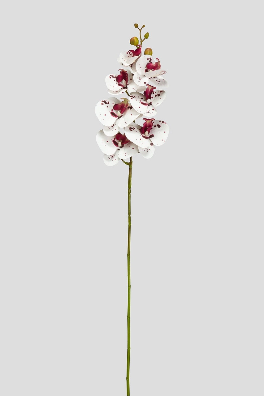 H. Orquidea Phalaenopsis 3d X7 87cm Branco Vinho Fs0789 36 Flor De Seda