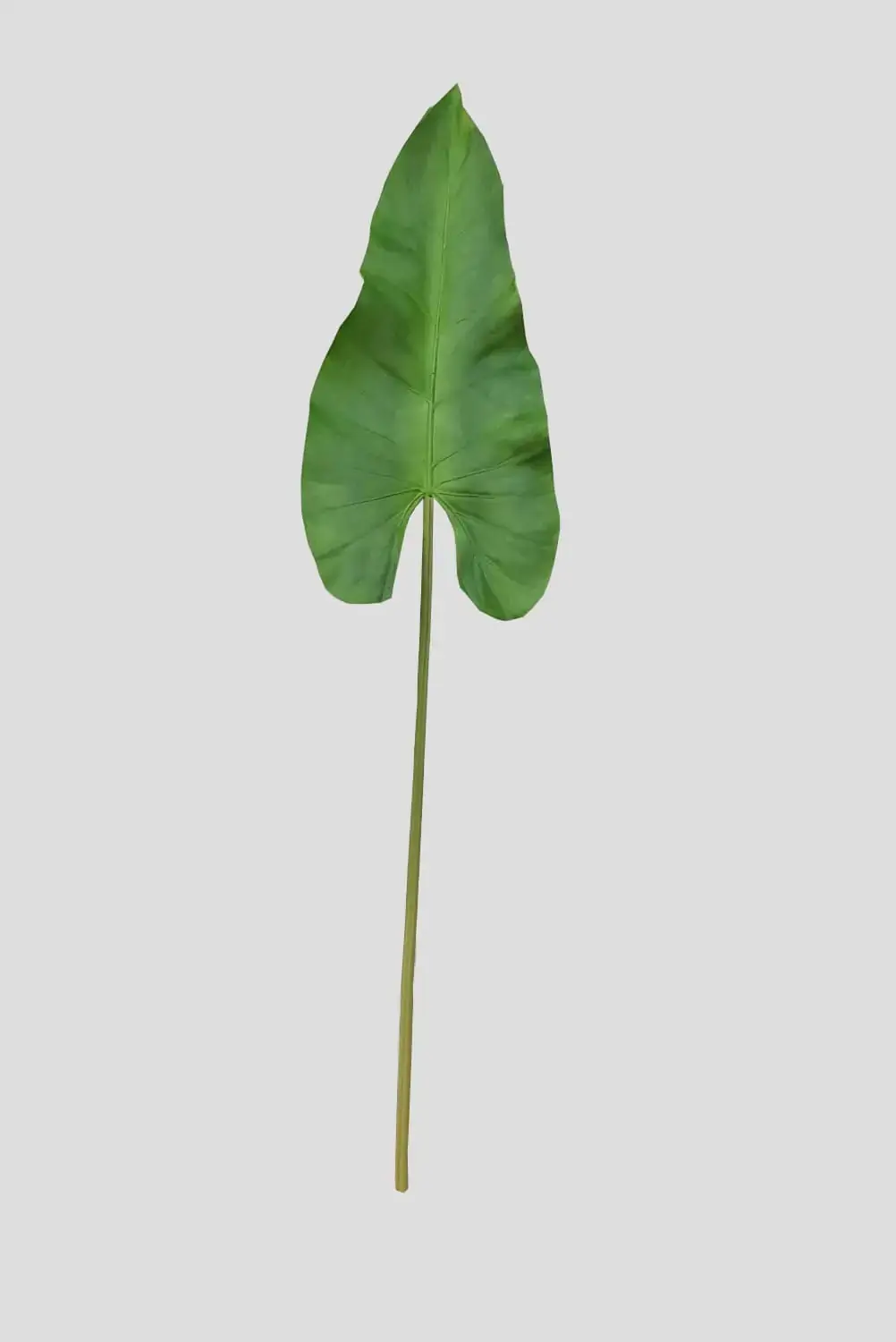 F Haste De Folha De Escolacia Premium Fs0930 31 Flor De Seda