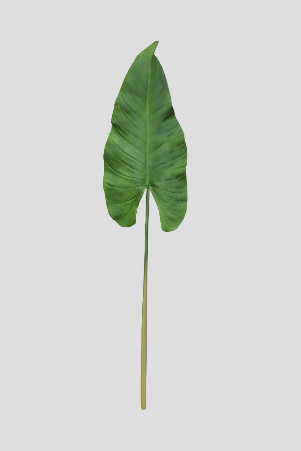 F Haste De Folha De Escolacia Premium Fs0931 31 Flor De Seda
