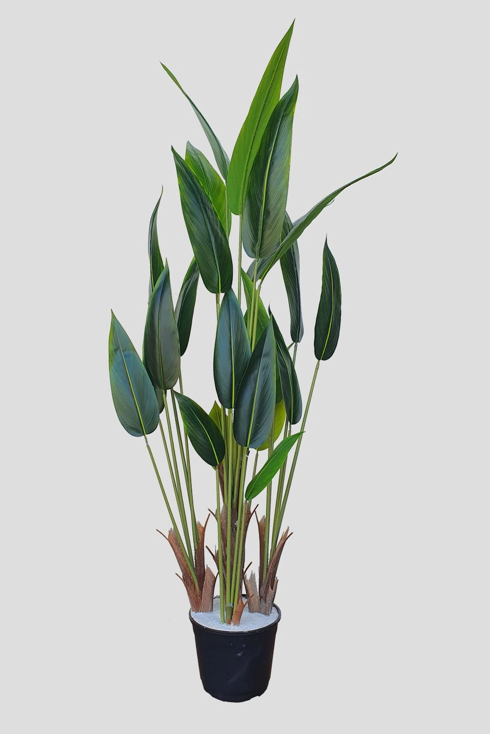 Arvore Arbusto Folhas Heliconia Verde 150cm Fs0932 31 Flor De Seda