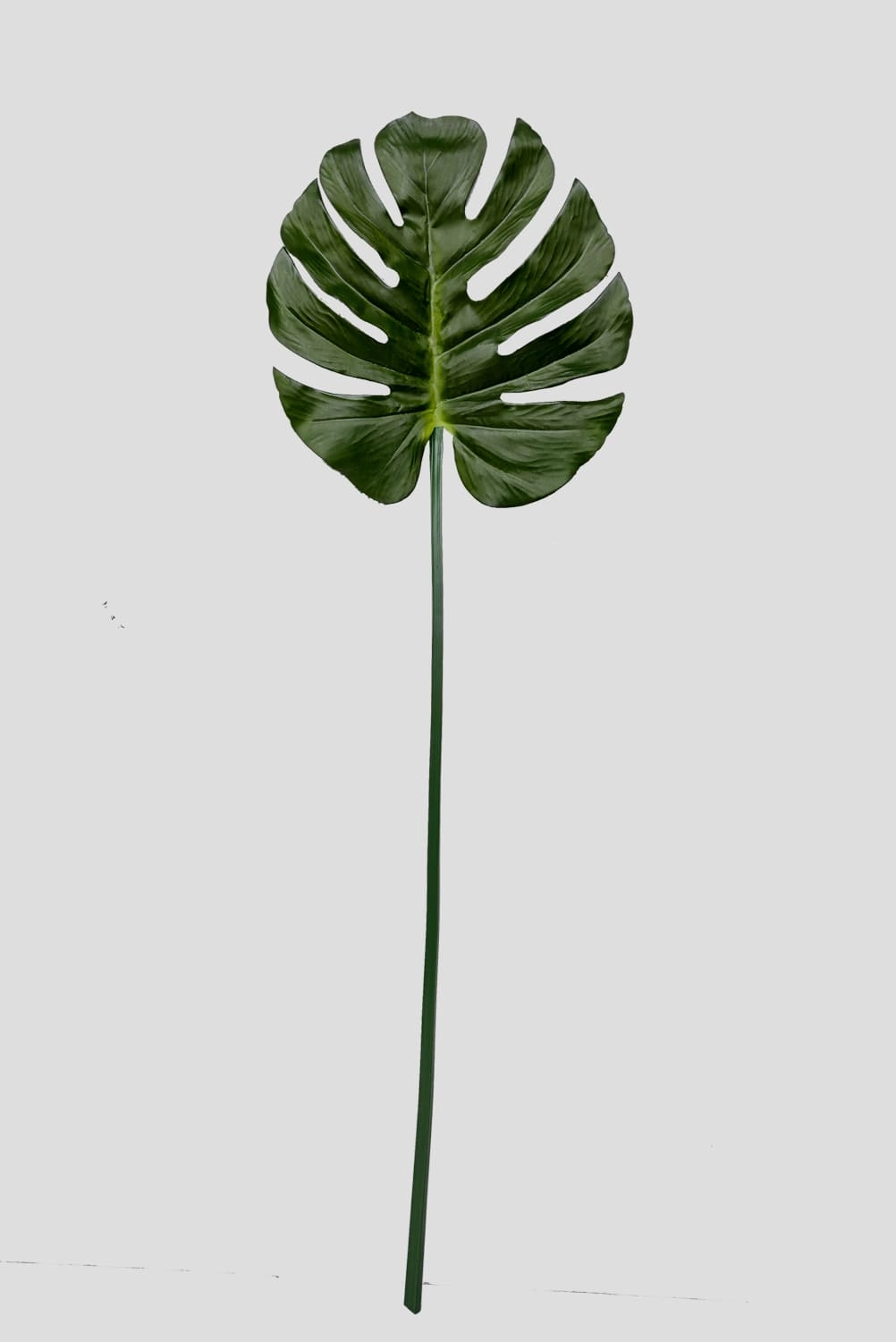 Folha Costela Adao Verde 86x28x30cm Fs0987 31 Flor De Seda