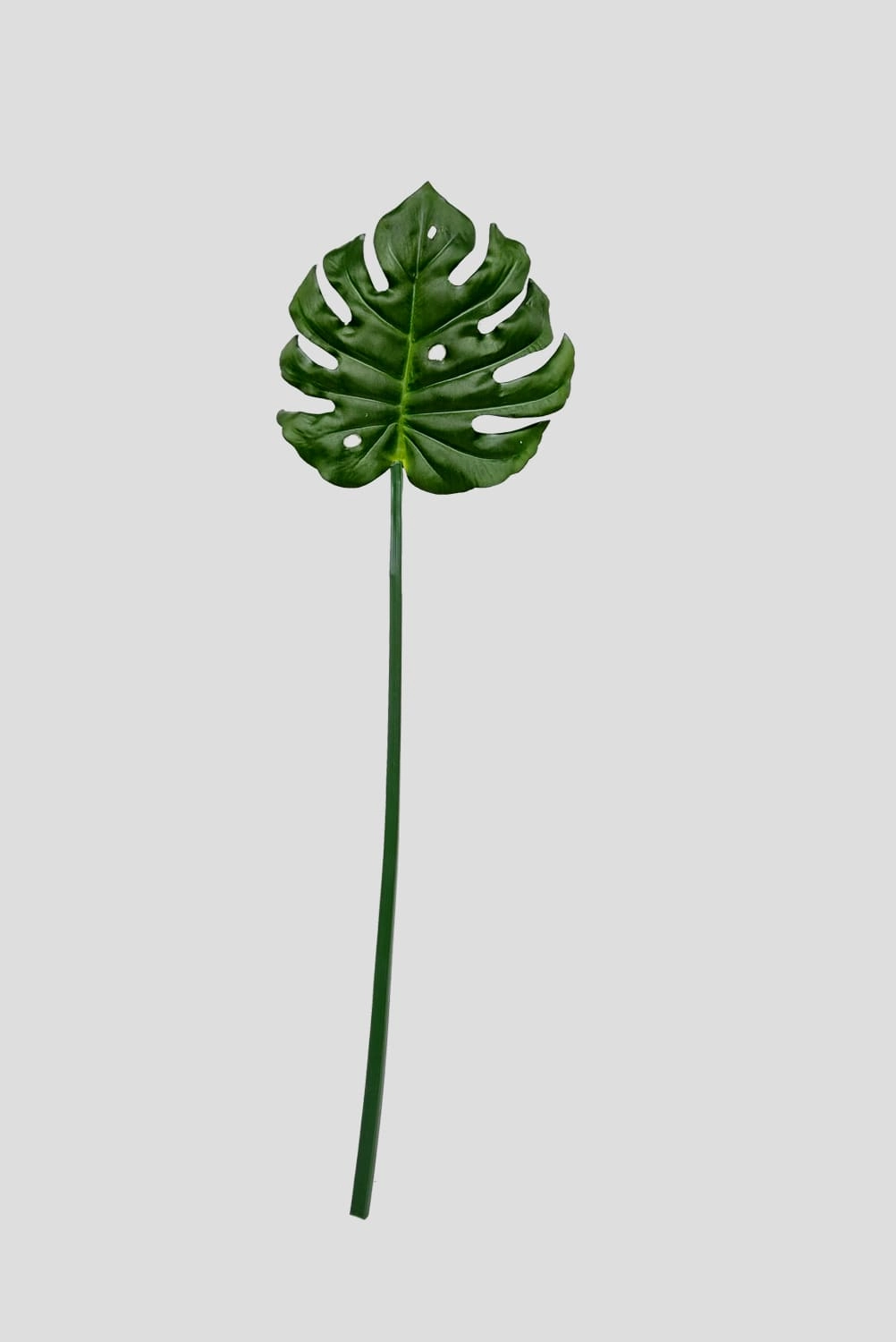 Folha Costela Adao Verde 86x22x21cm Fs0988 31 Flor De Seda