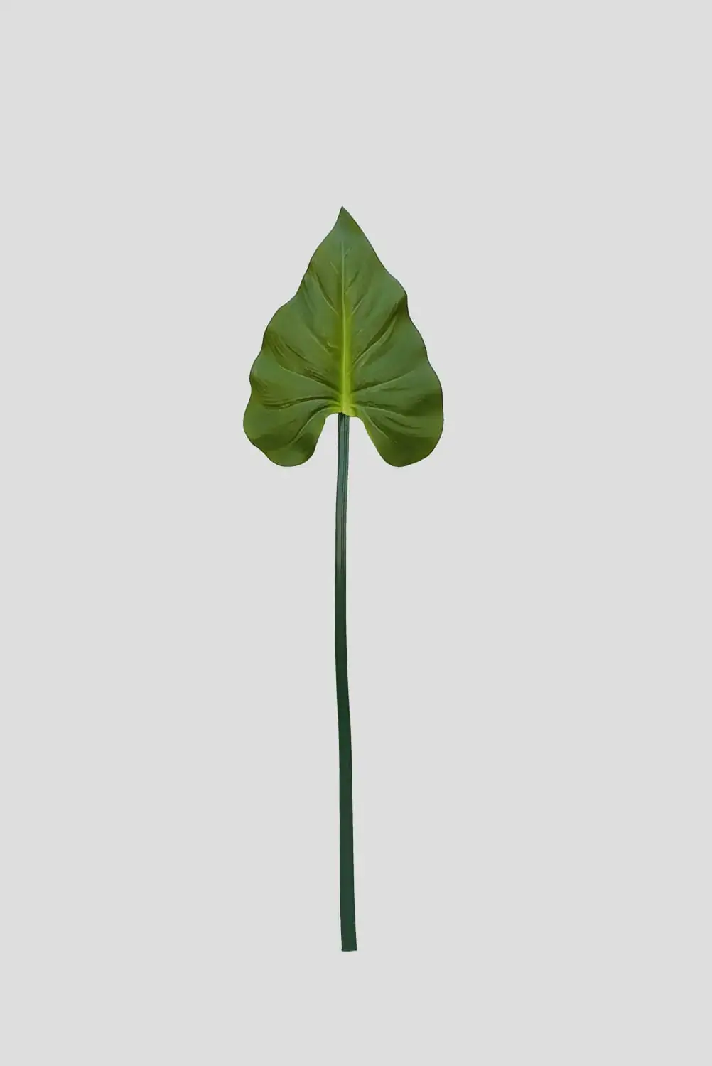 Haste Anturio Verde 68x23x15cm Fs0994 31 Flor De Seda