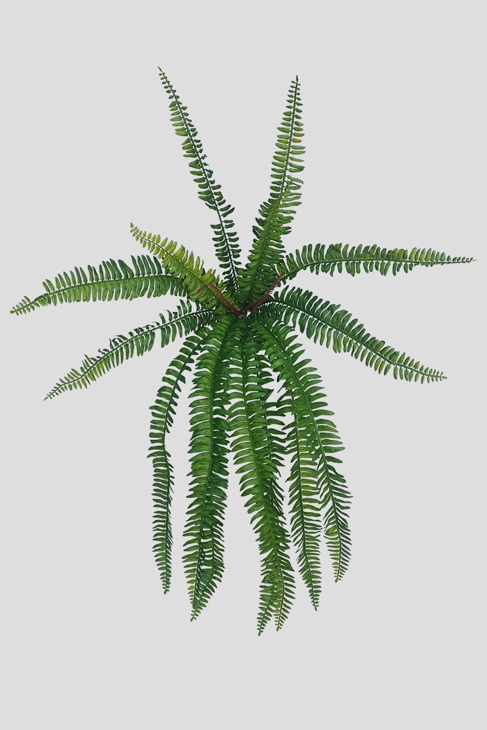 F Samanbaia Silicone 72cm Verde Fs1001 31 Flor De Seda