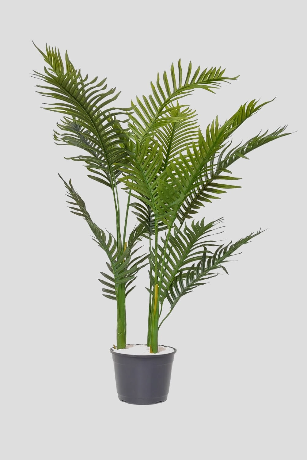 Arvore Palmeira Havaiana Verde 14fls 125cm Fs1016 31 Flor De Seda