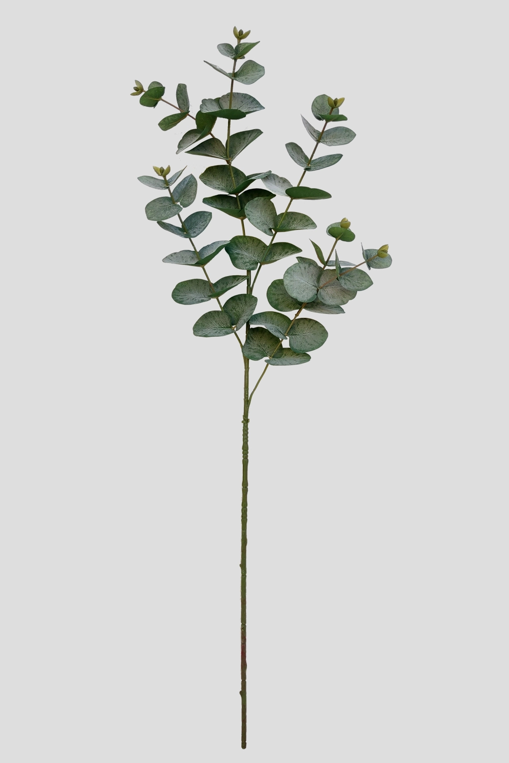Haste Eucalipto Verde 90cm Fs1102 31 Flor De Seda