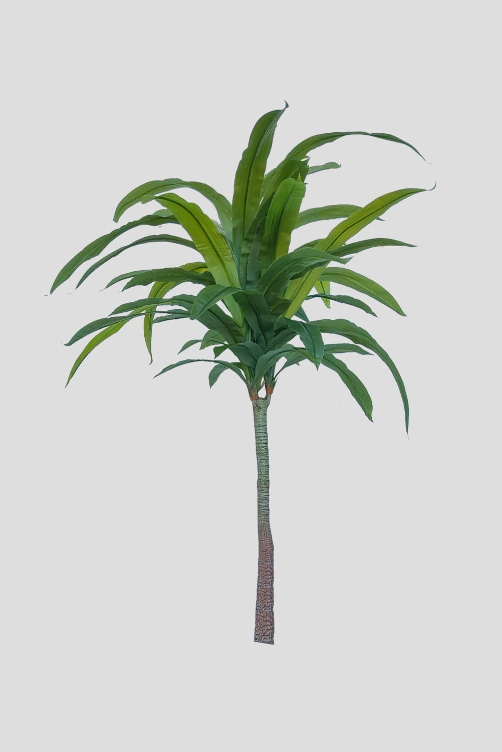 Arvore Dracena Arborea Tqn Verde 185cm Fs1104 31 Flor De Seda