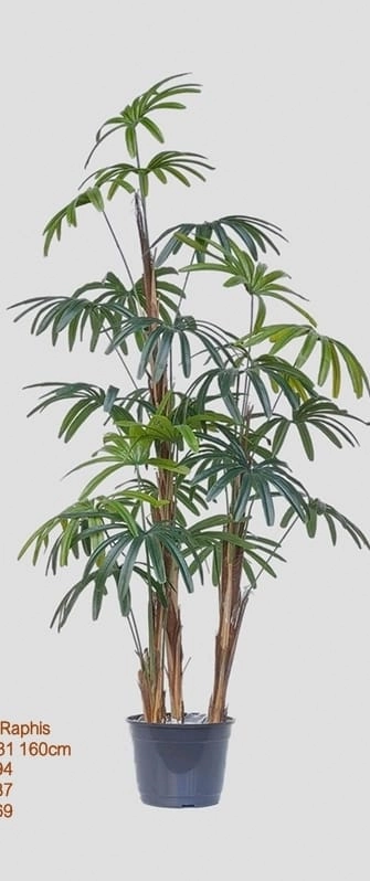 A. Palmeira Raphis 160cm Verde Fs1110 31 Flor De Seda