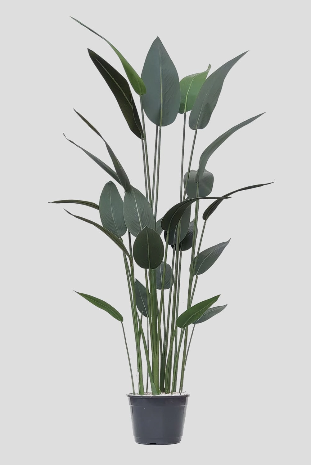 Arvore Arbusto Folhas Heliconia Verde 160cm Fs1125 31 Flor De Seda