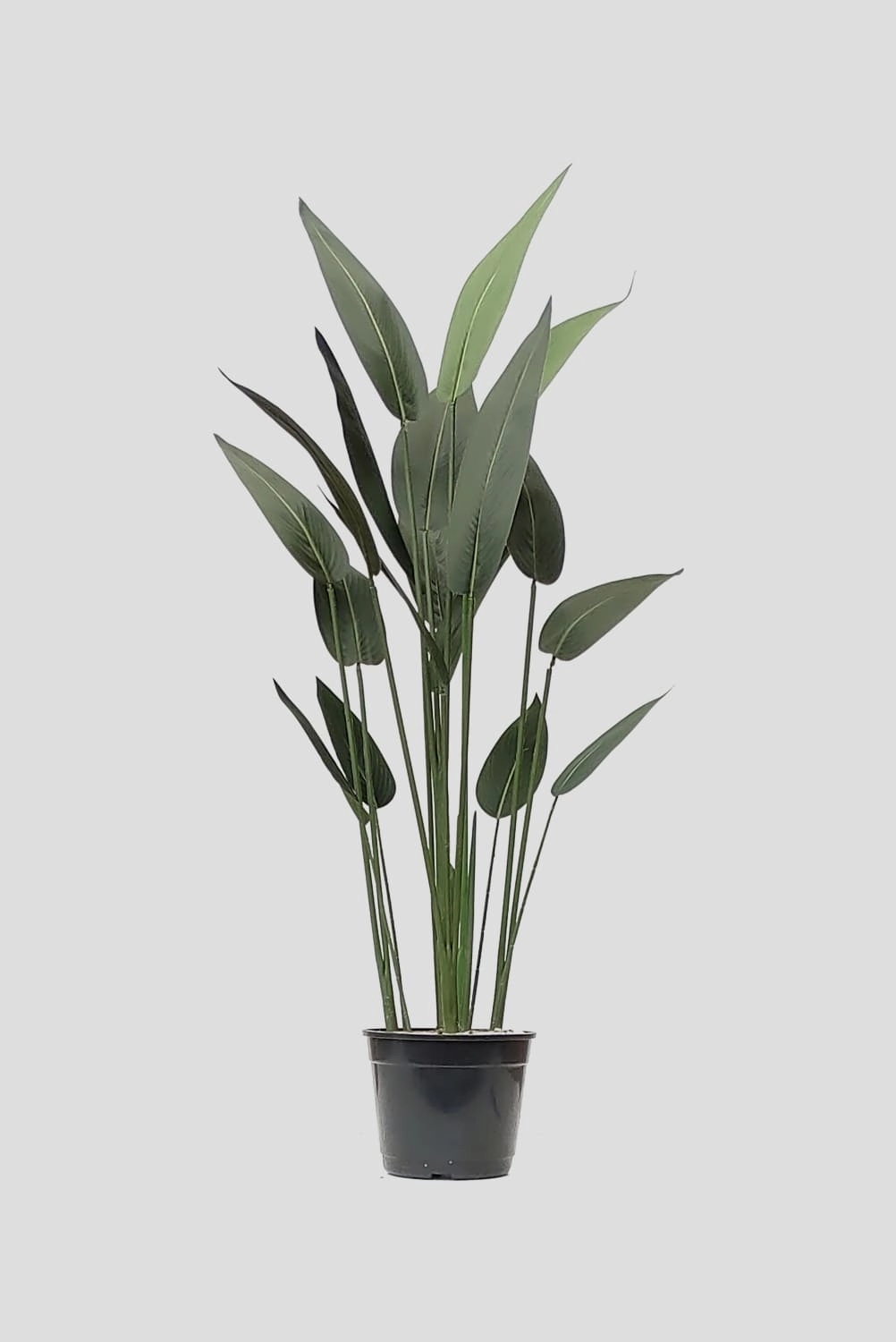 Arvore Arbusto Folhas Heliconia Verde 140cm Fs1126 31 Flor De Seda