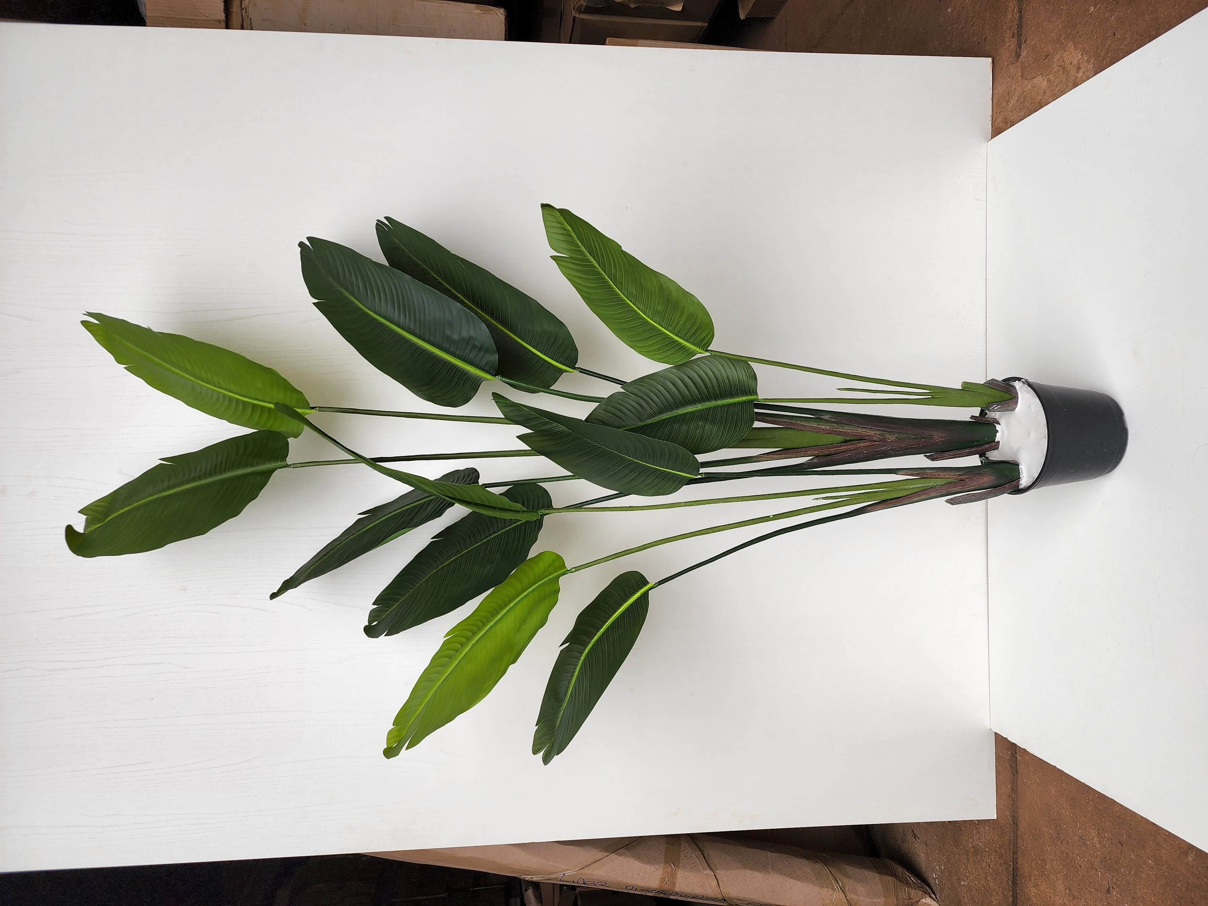 Arvore Palmeira Viajante Verde 202cm Fs1144 31 Flor De Seda