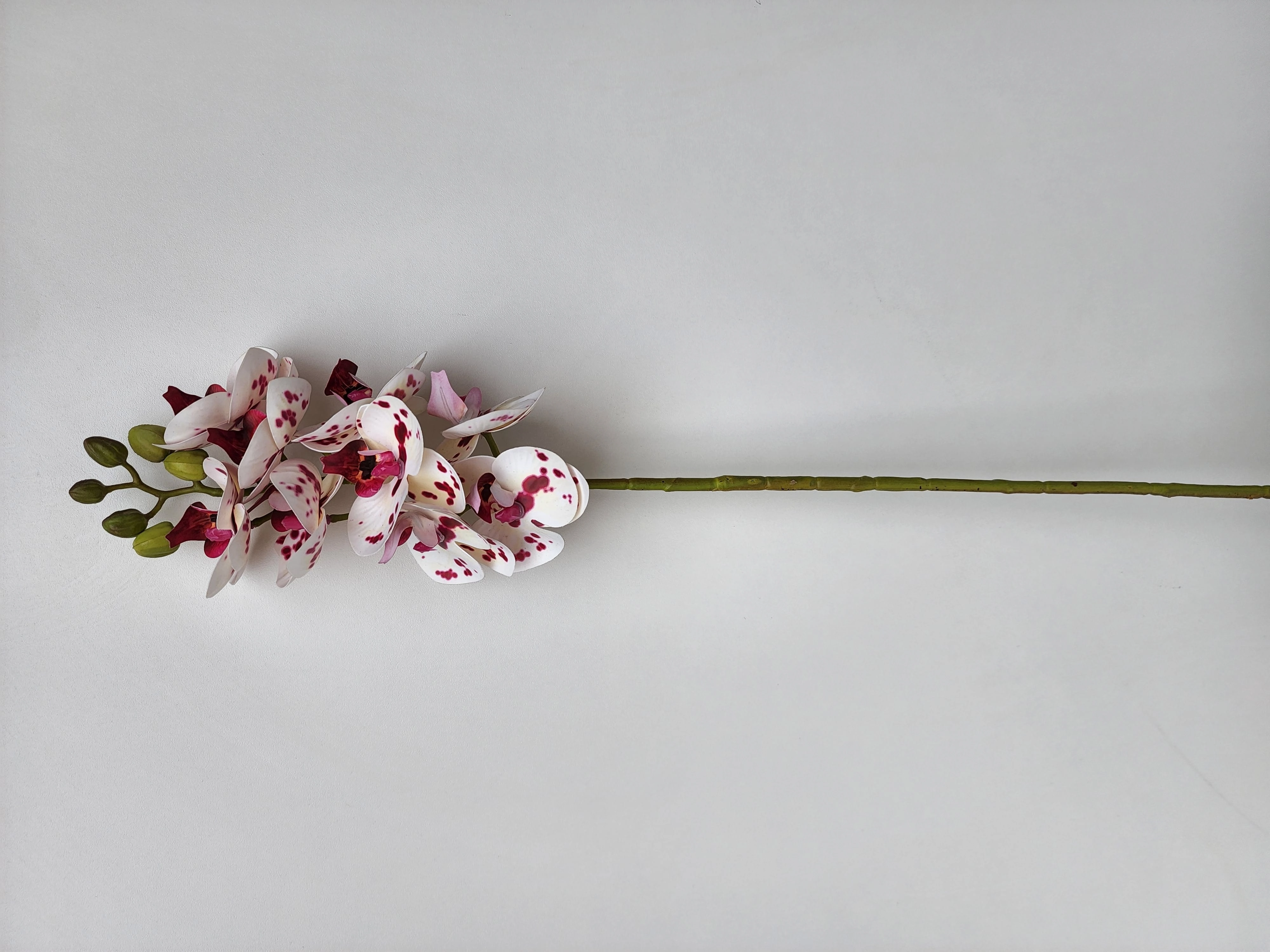 Haste Orquidea Bco Rosa 3d 60cm Fs1164 40 Flor De Seda