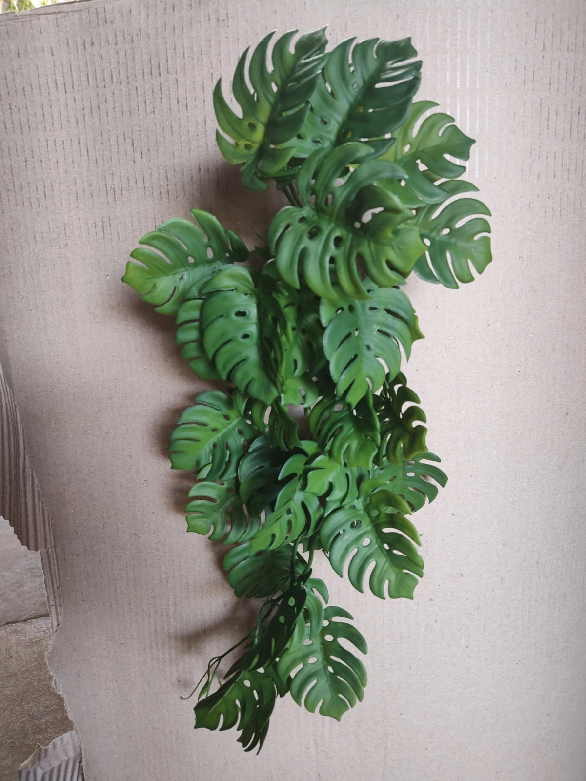Folhagem Pendente Costela Adao Verde 56x32cm Fs1174 30 Flor De Seda