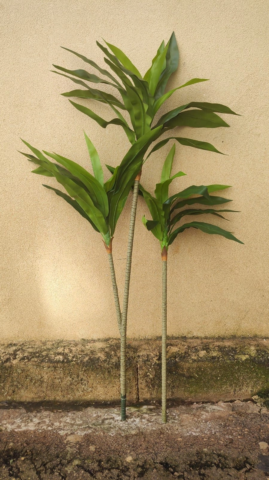 Arvore Dracena Verde 120cm Fs1194 31 Flor De Seda