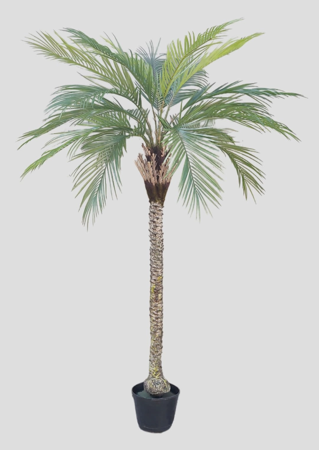 Arvore Palmeira Fenix Verde 190cm Fs1217 01 Flor De Seda