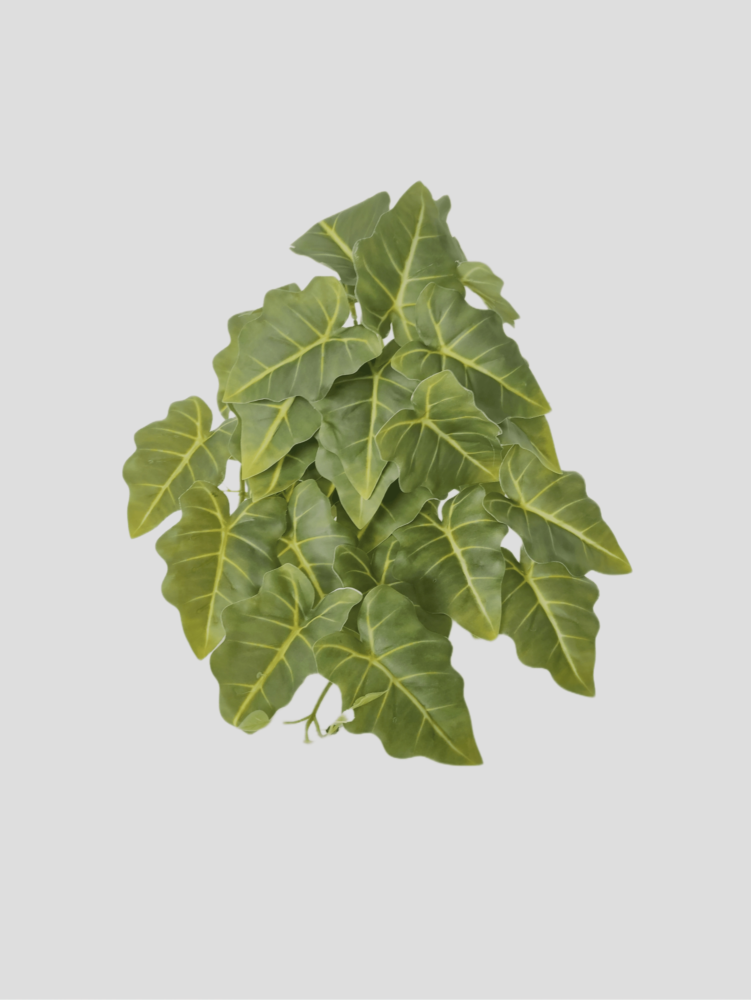 Pendente Caladium Verde 45cm Fs1230 31 Flor De Seda