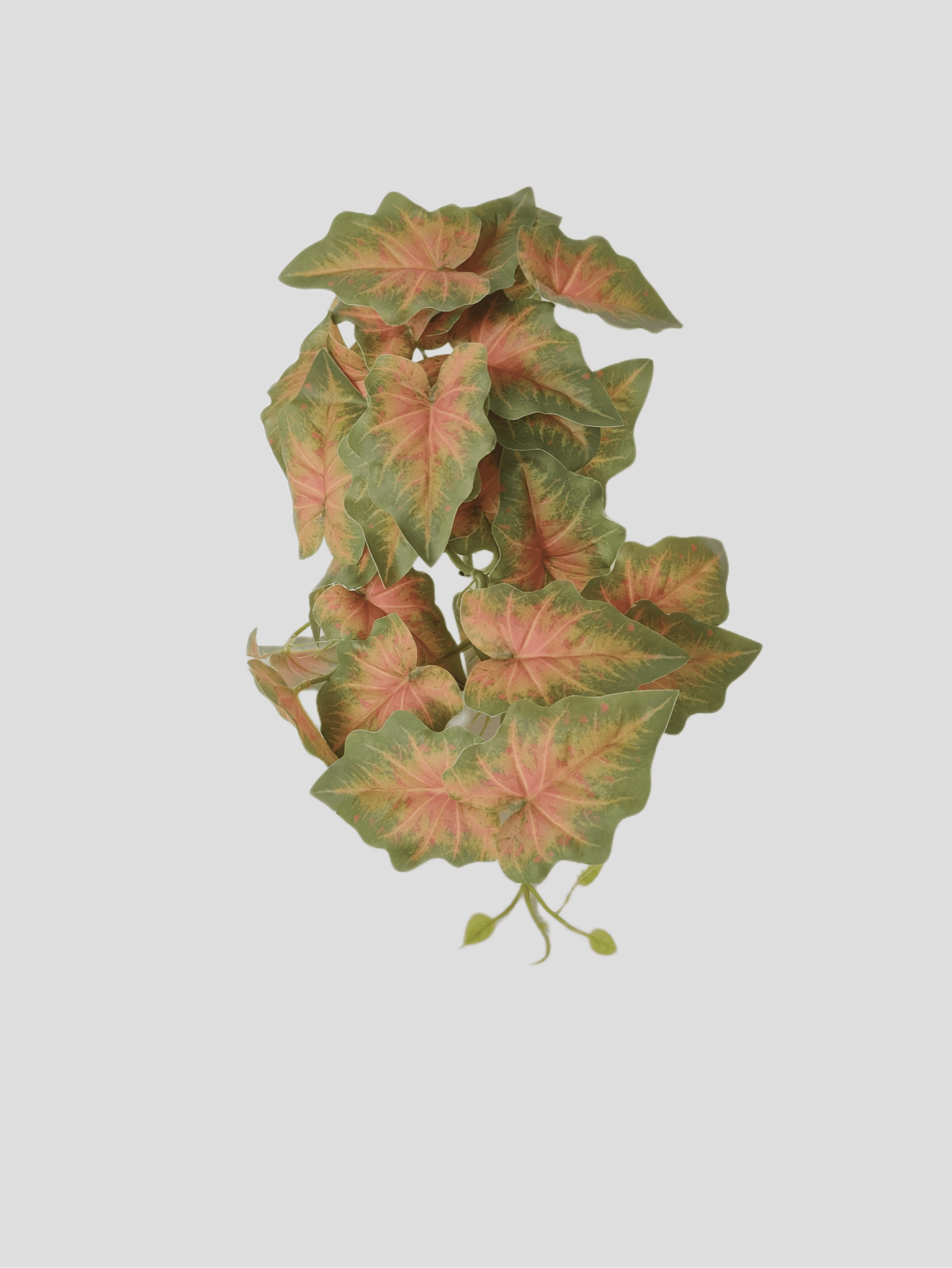 Pendente Caladium Verde 45cm Fs1230 33 Flor De Seda