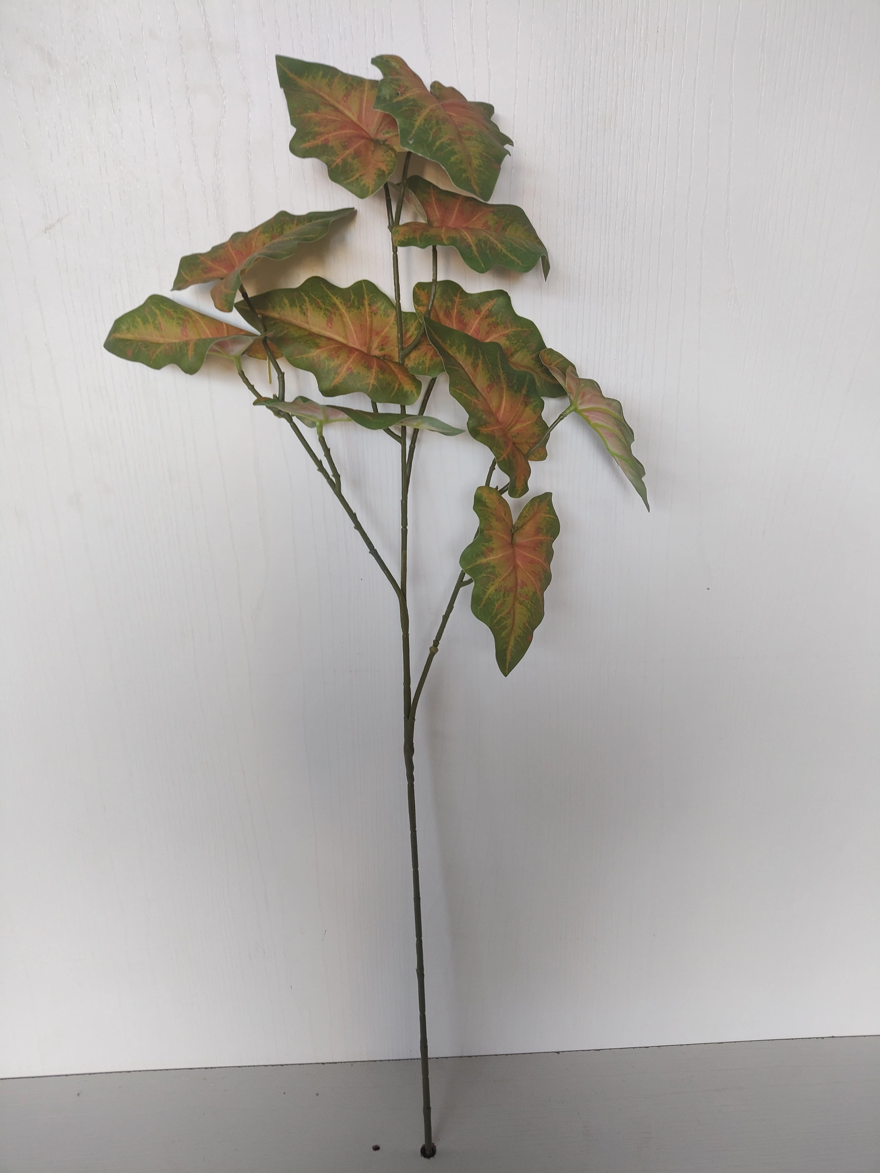 Galho Caladium Verde 80cm Fs1232 31 Flor De Seda