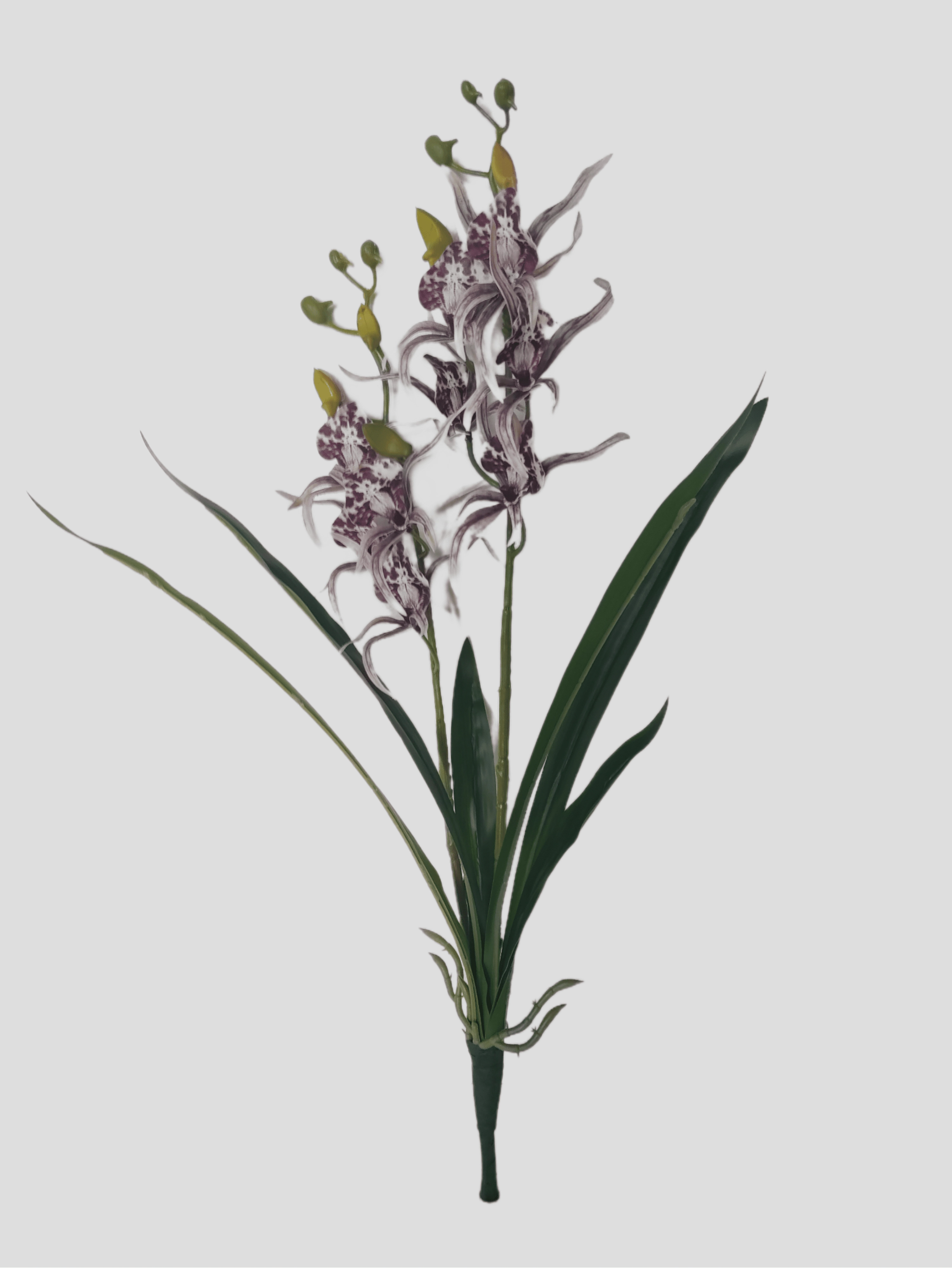 Haste Orquidea Aranha Folha Cinza 2 Tons Fs1263 45 Flor De Seda