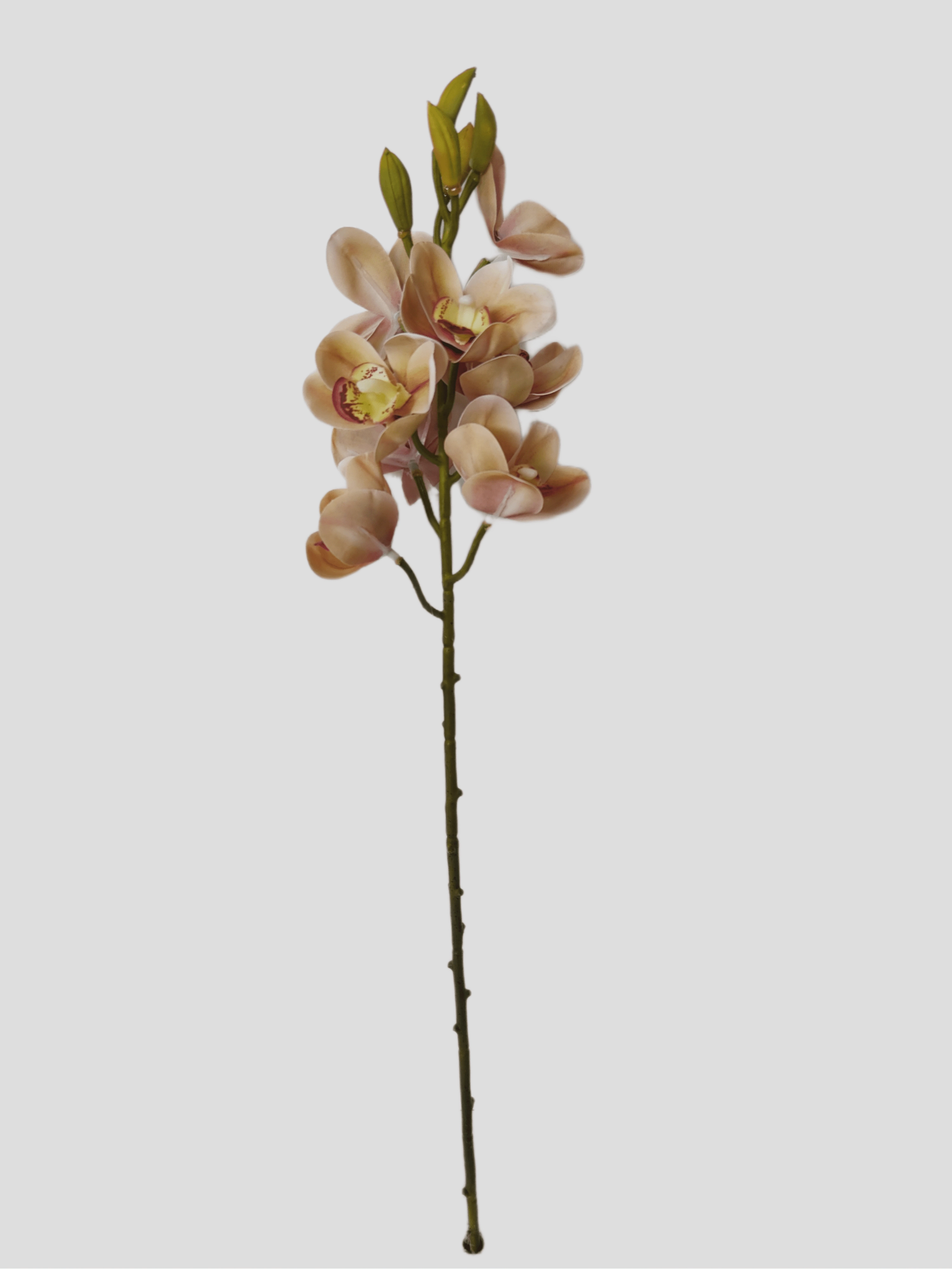 Haste Orquidea Cymbidium Creme 2 Tons Fs1265 09 Flor De Seda