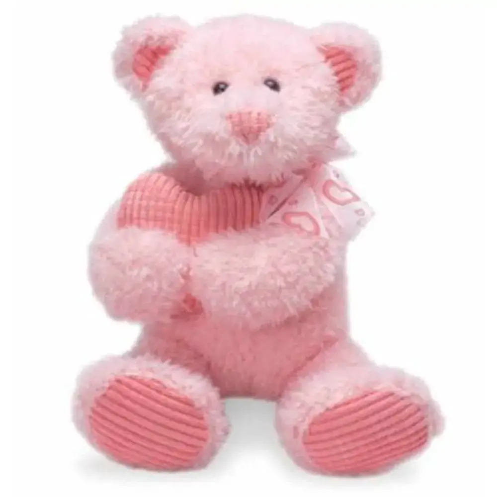 Urso Pelucia Ursinho Abraco No Coracao R.3323