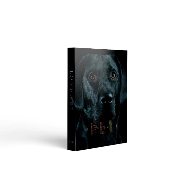 Livro Caixax Dog Love Pet 36x27x5cm 700142 Goods