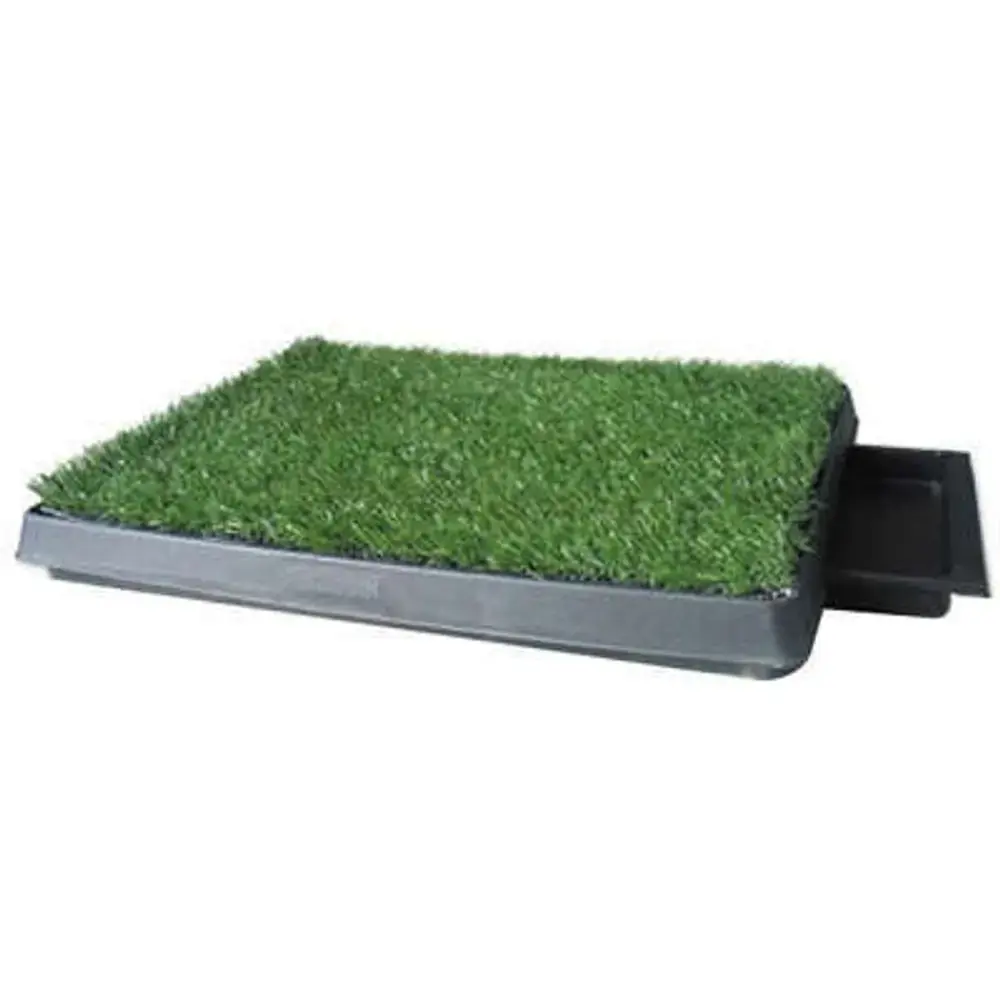Pet Park Luxo American Pet