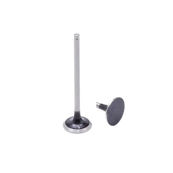 Válvula de Escape - MOTORBEST 0138120050180