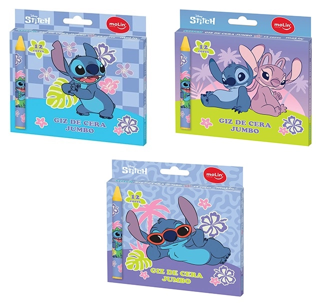 Giz Cera Jumbo Stitch 12 Cores 31313 Molin