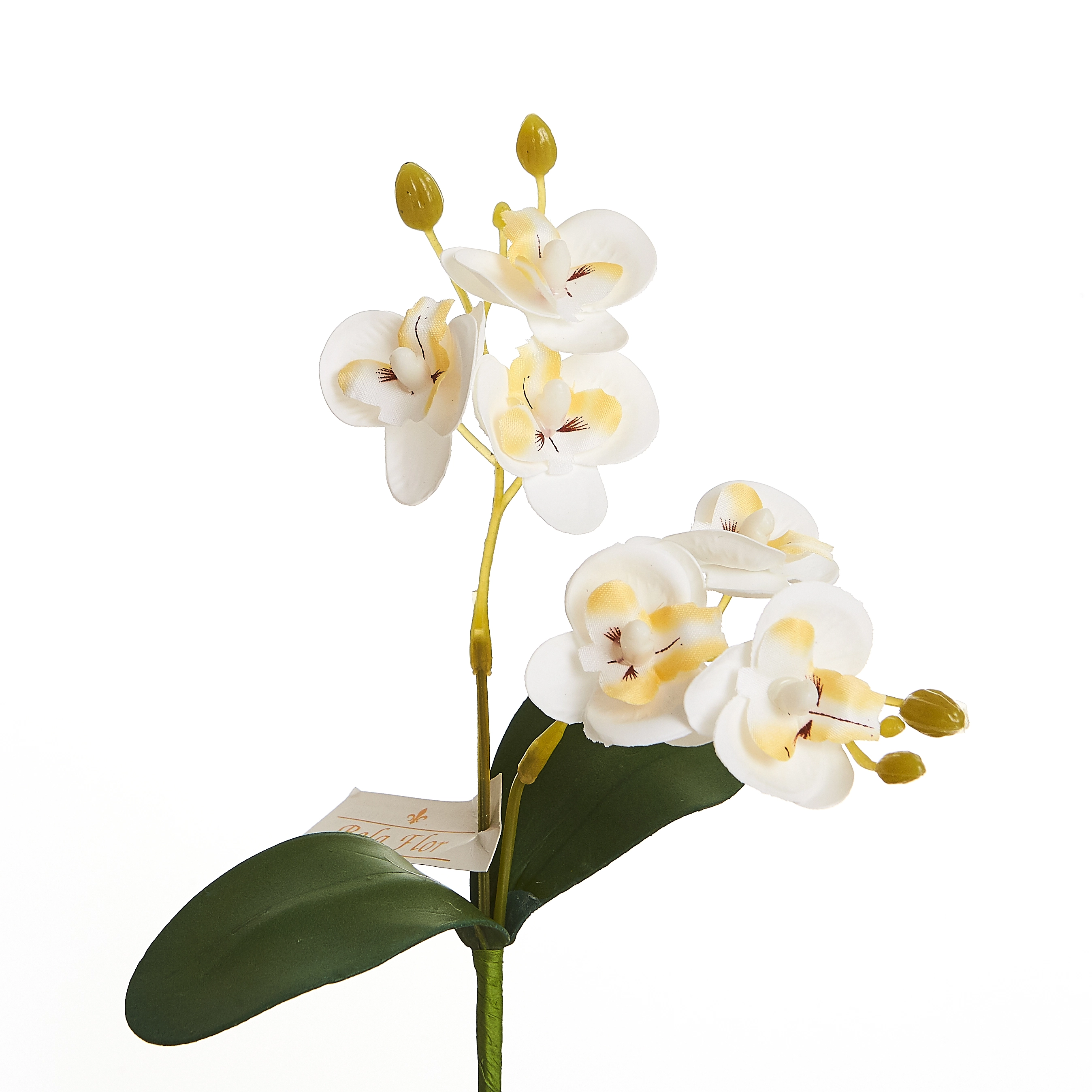 Orquidea 2galhos X6 18cm 18br Bela Flor