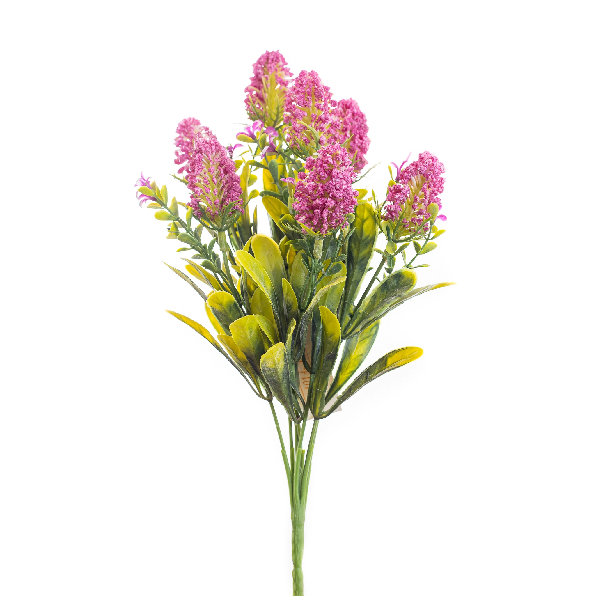 Dracena 180cmx7 125tb Bela Flor