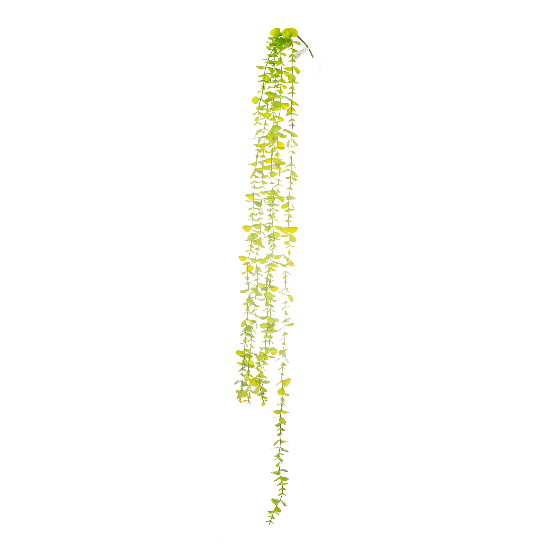 Pendente Folhagem X5 112cm 294vde Bela Flor