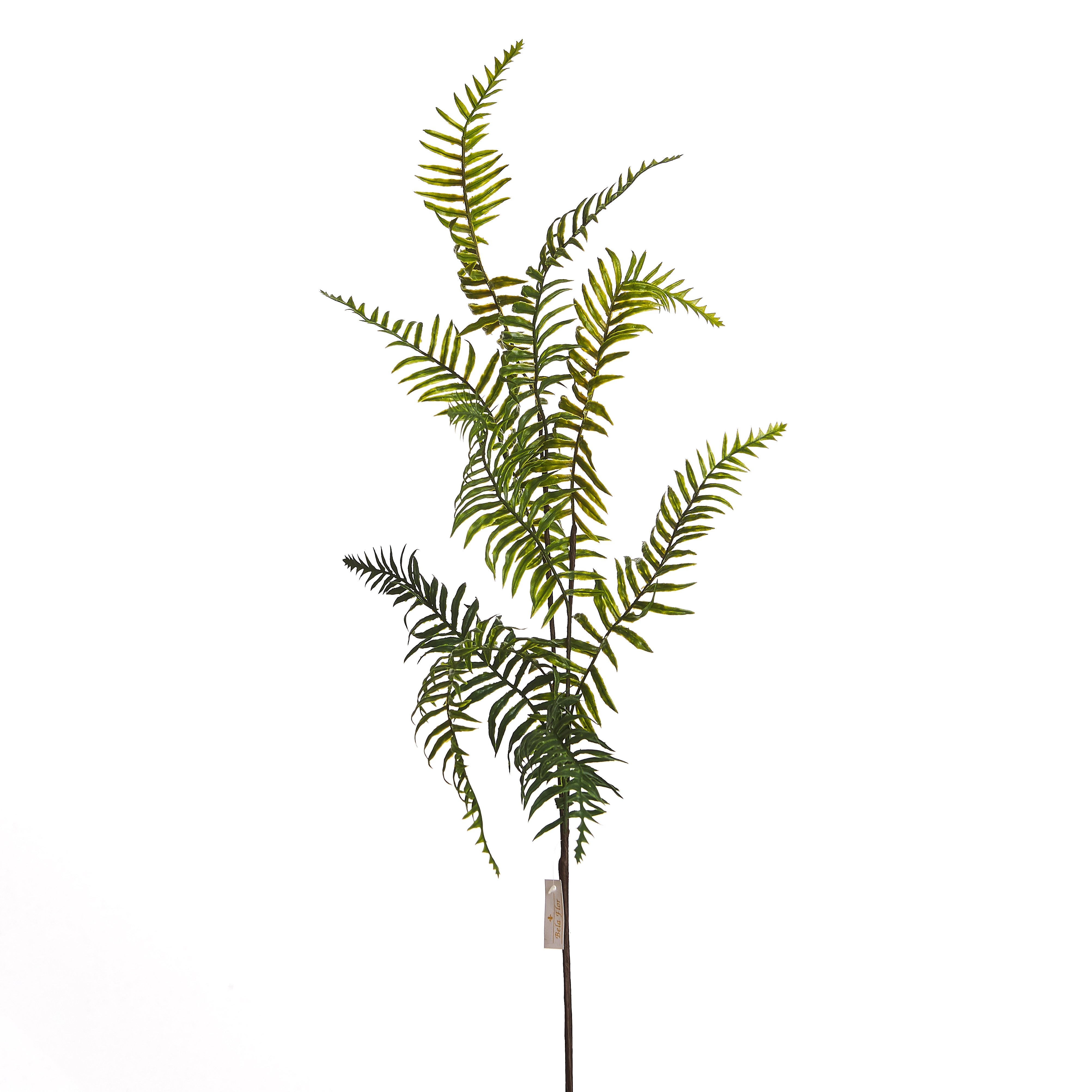 Buque Samambaia X5 39cm Bf4617 Bela Flor