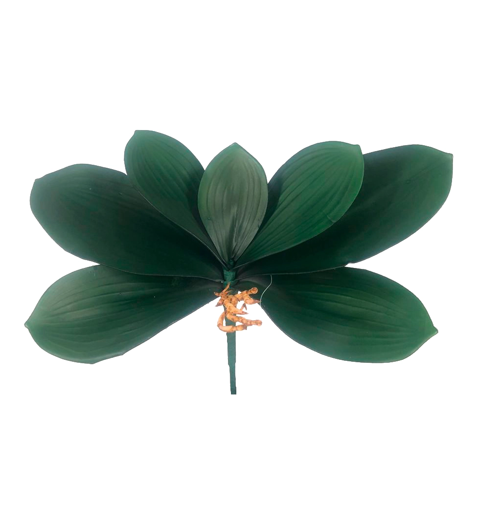 Folha Orquidea X7