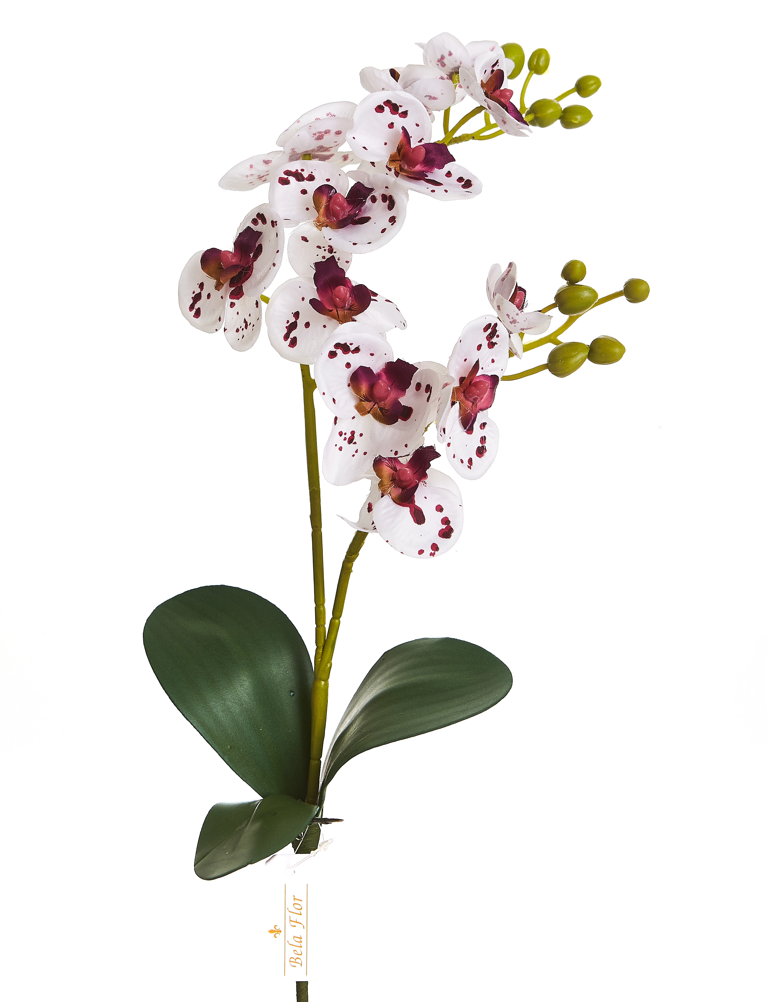 Haste Horquidea X6 18cm 18pk Bela Flor