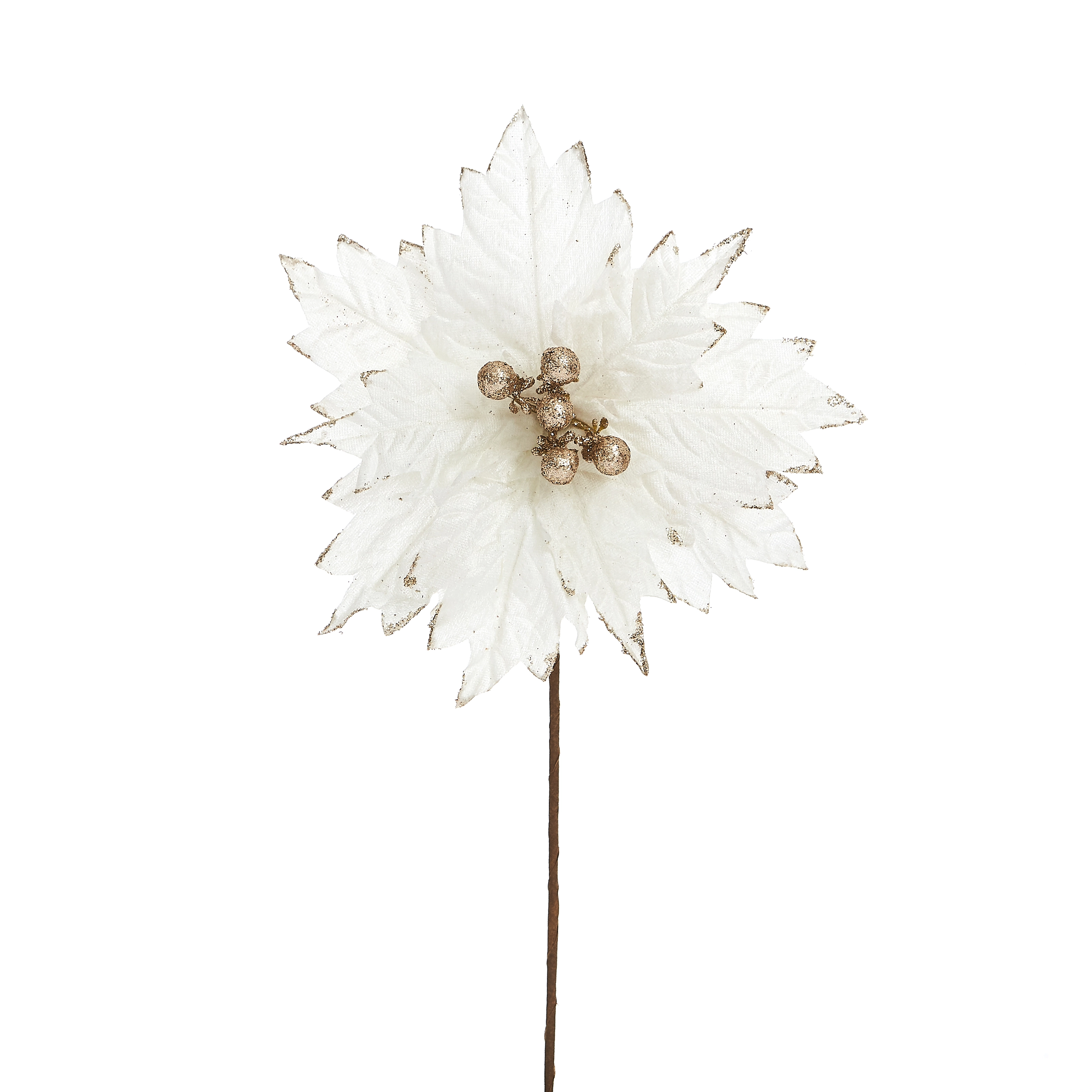 Haste Poinsettia M Bolinha 21x40cm Champ 14070 Bf