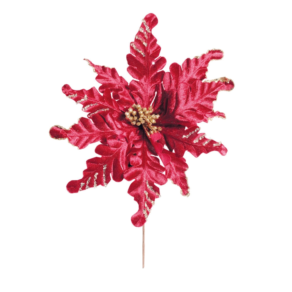 Poinsetia Brd/nud Cod1920600