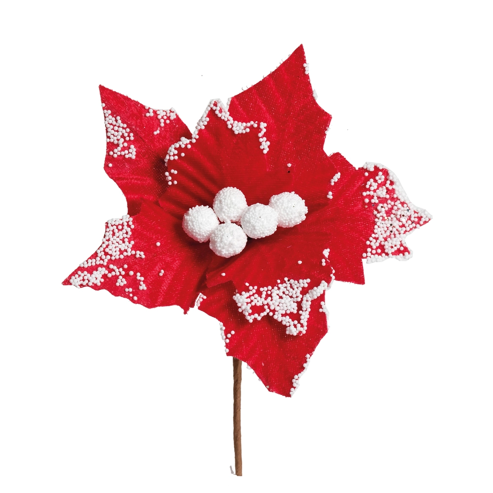 Poinsetia Vrm/bco Cod1920680