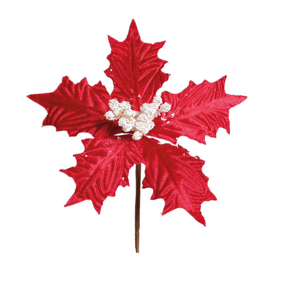 Poinsetia Vrm/bco Cod1920785