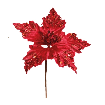 Poinsetia Vrm Cod1920795