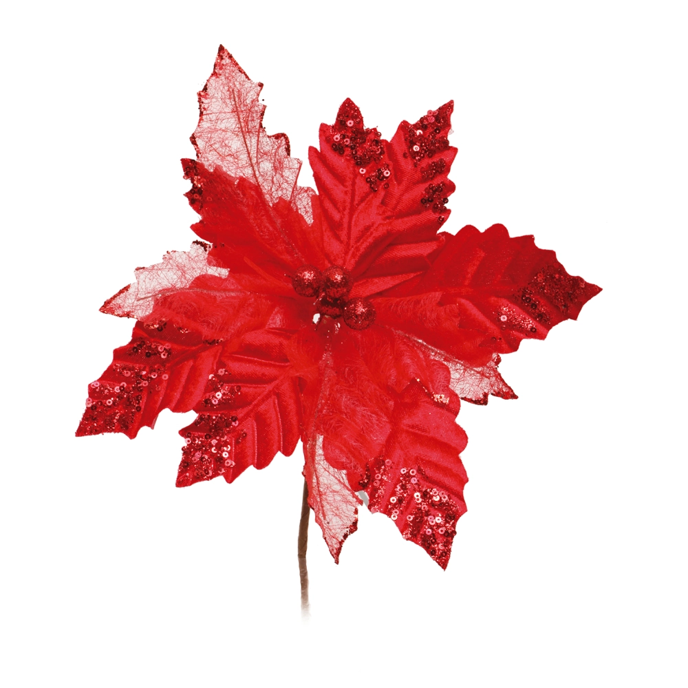 Poinsetia Vrm Cod1208591