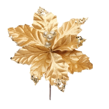 Poinsetia Ouro Cod1920163