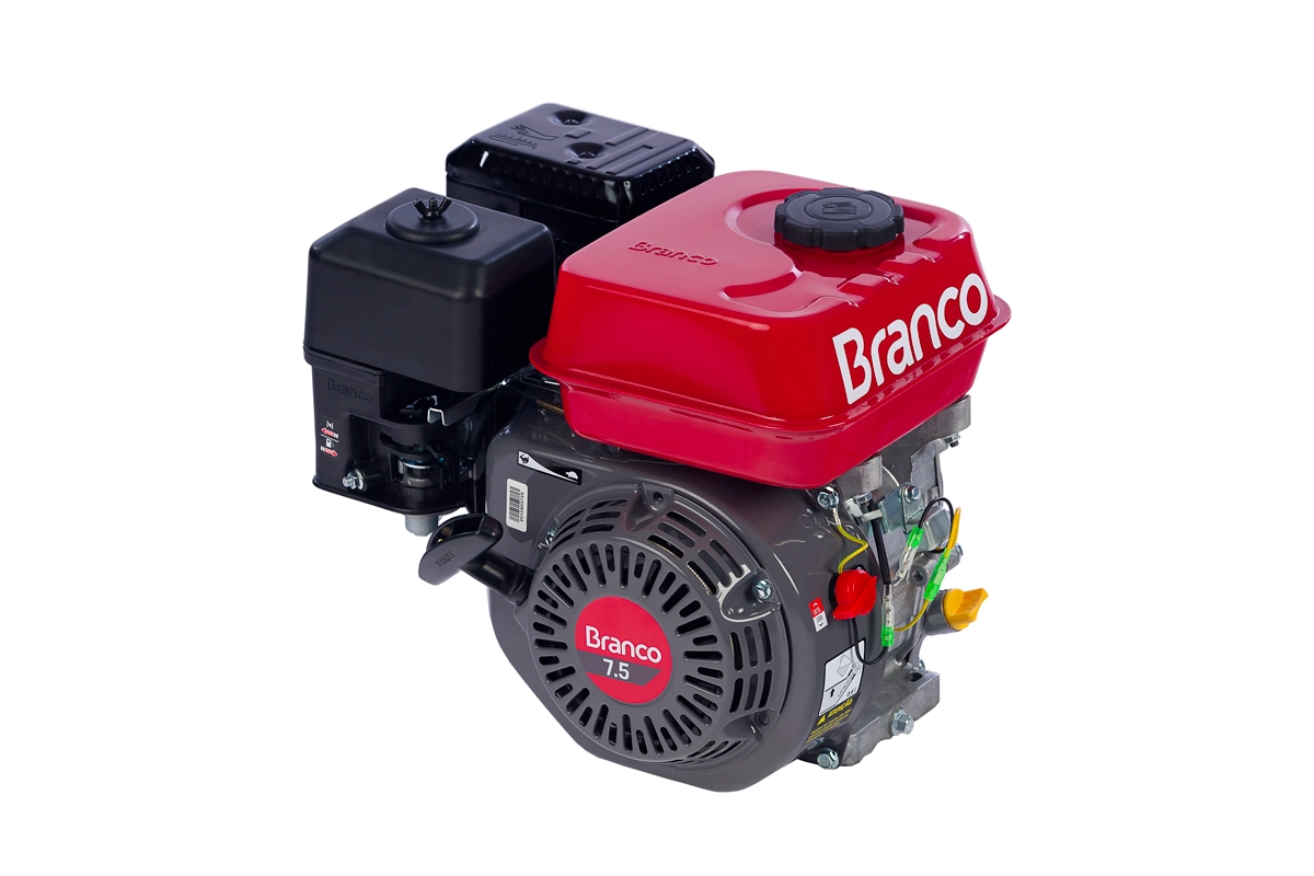 Motor a Gasolina B4T-7.5H 4T 7,5 CV  Branco