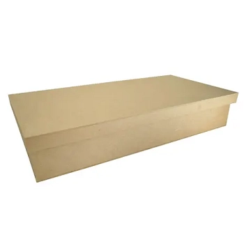 Caixa Tampa Sapato Retangular 20x25x8 Ref.19.038