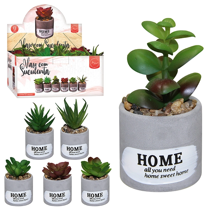 Suculenta Com Vaso Rustico