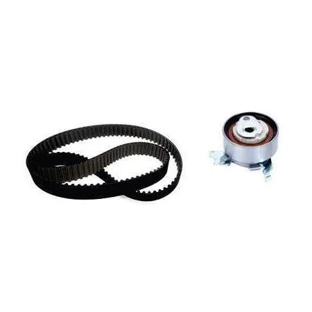 Kit Correia Dentada - NYTRON KIT9013