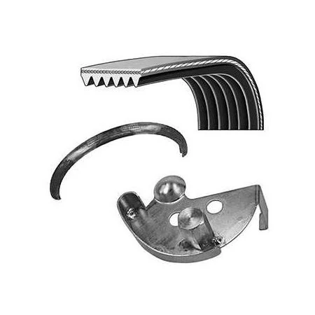 Correia do Alternador FORD FOCUS GIR/ALT/DH/BA - DAYCO PVE002