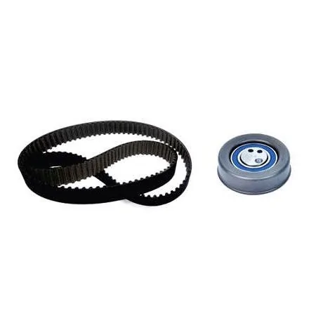 Kit Correia Dentada - NYTRON KIT9024