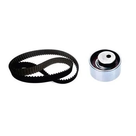 Kit Correia Dentada 124 Dentes - NYTRON KIT9025