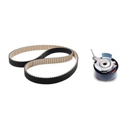 Kit Correia Dentada - NYTRON KIT9037
